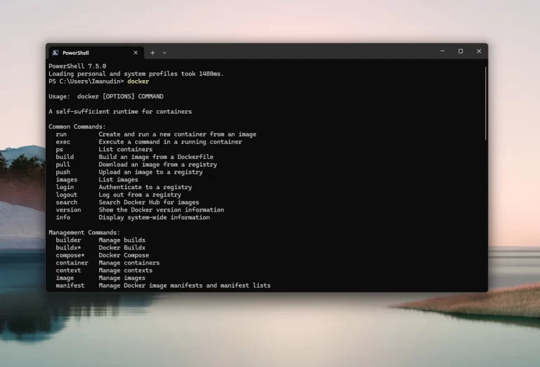Introducing docker-wsl-bridge: A Lightweight Alternative to Docker Desktop for WSL Integration